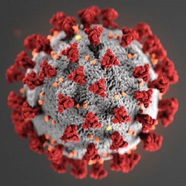 Microscopic image of COVID-19 virus