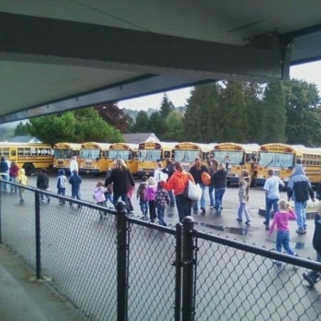Children and adults walk through the rain to in a school parking lot. They are doing an earthquake drill. There are buses in the background and a fence in the foreground. 